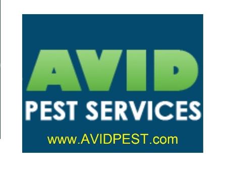 Avid Pest Services Hamilton (905)902-4222